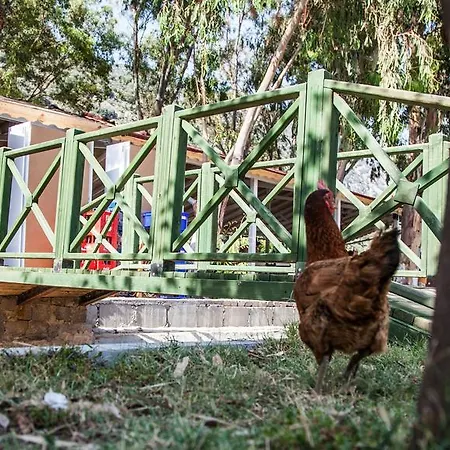 Uygulama Hotell Kaş