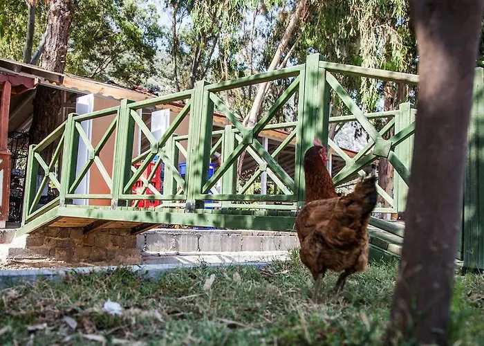 Uygulama Szálloda Kaş